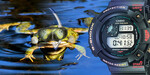 Casio Frogman świętuje 30 – Historia od kijanki do 30-letniej żaby